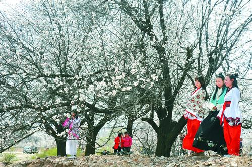 太阳集团tyc86 全球能源解决方案 光伏电站与智慧能源